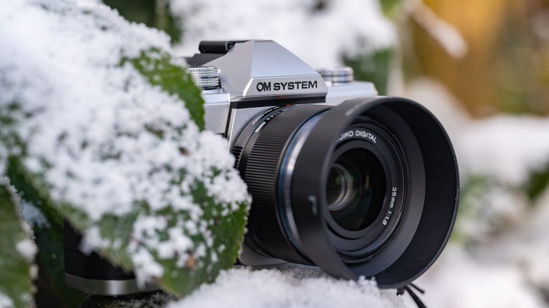 The OM-3 peaking out from behind a snow covered leaf.