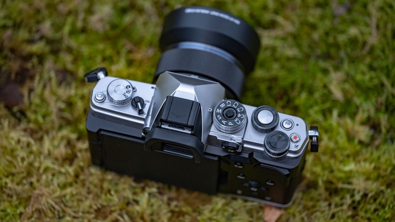 The top control panel of the OM System OM-3 with the camera sitting on a bed of moss.