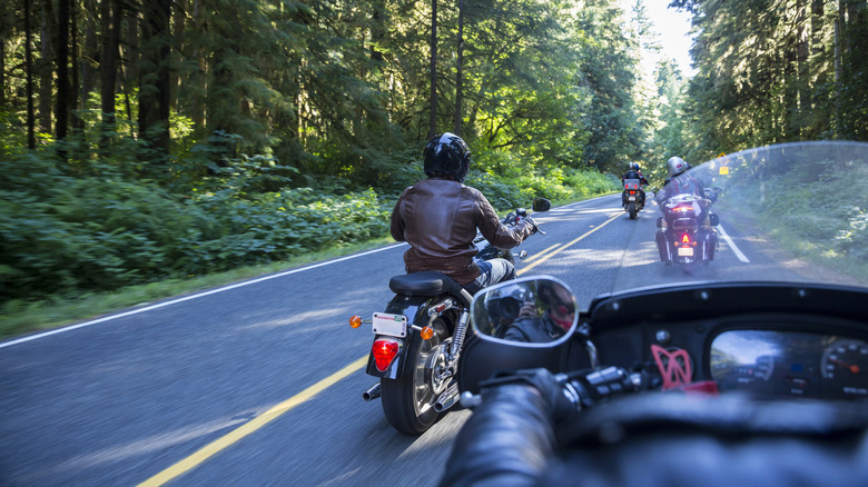 Motorcyclists riding down a road surrounded by forests