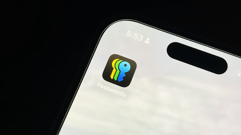 Passwords app icon on iPhone screen
