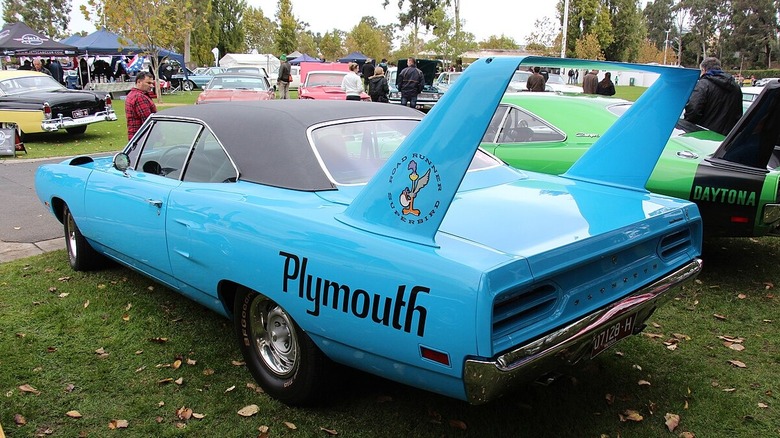 Blue Superbird with large wing