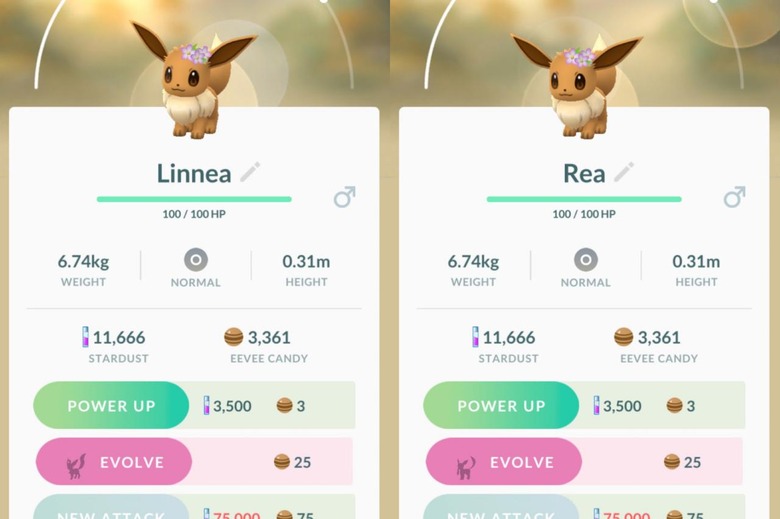 Can Eevee be shiny in Pokémon Go? - Polygon
