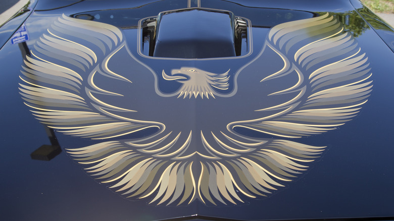 "Screaming chicken" on hood of 1980 Pontiac Trans Am