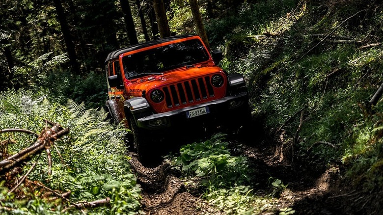 Jeep Wrangler on trail