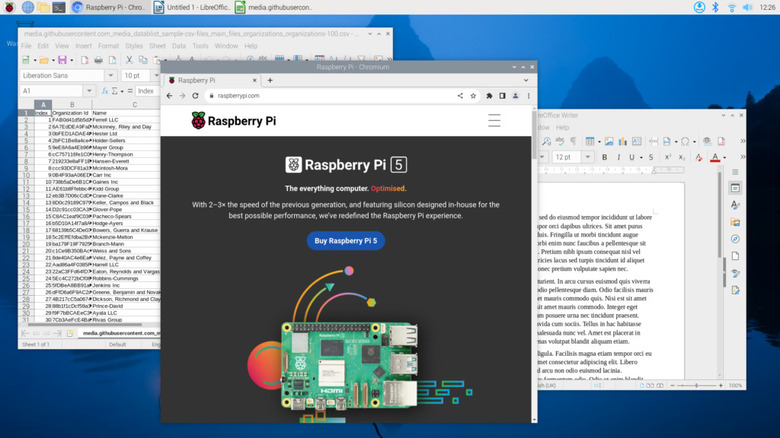 Raspberry Pi OS screen