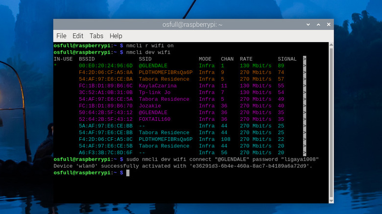 Raspberry Pi terminal showing Wi-Fi connection via nmcli