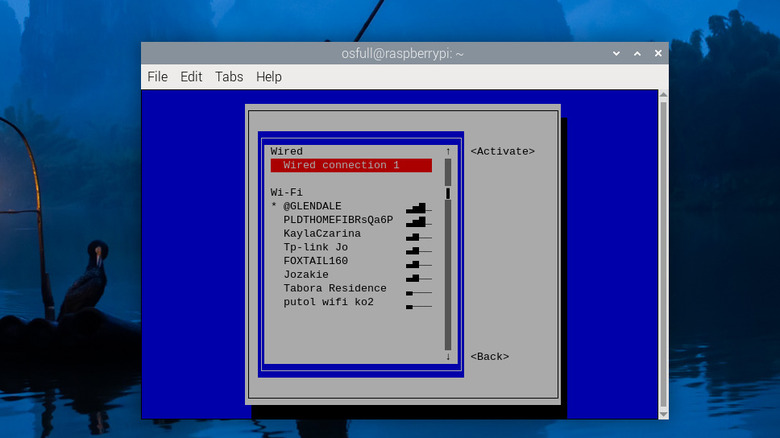 Raspberry Pi terminal showing Wi-Fi connection via nmtui