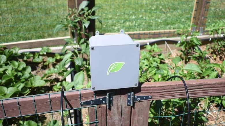 Raspberry Pi smart garden