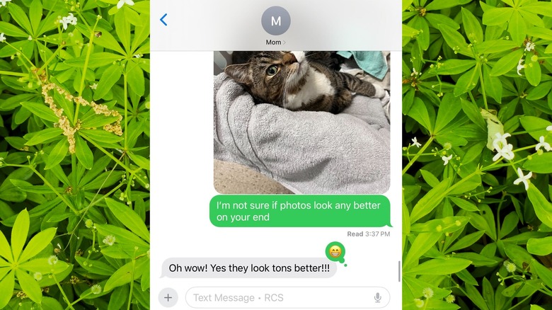 High resolution media on iMessage