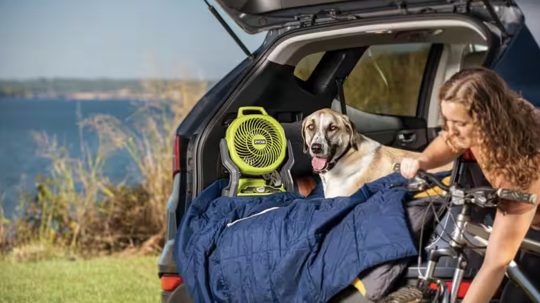 Ryobi fan with dog