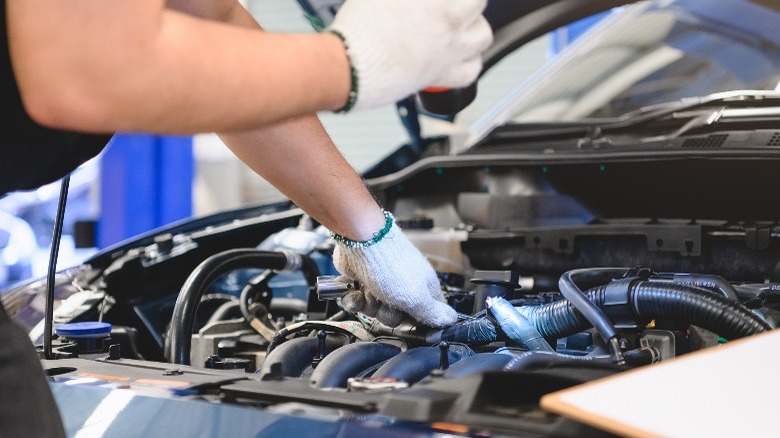 person checking engine bay