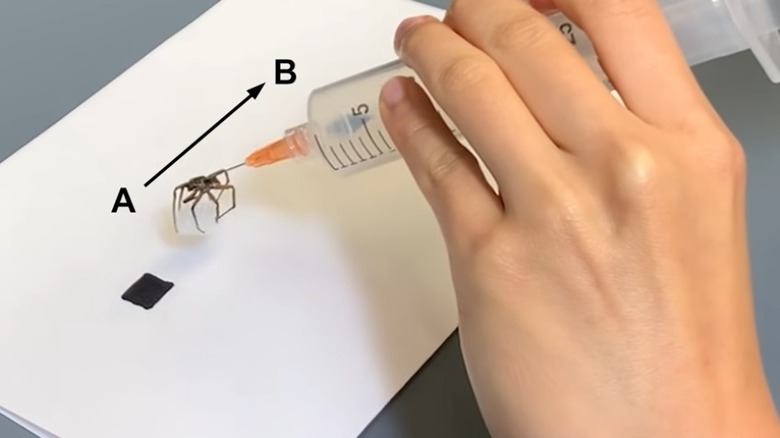 Injecting a spider necrobot