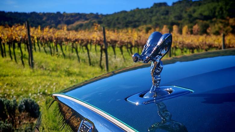 Spirit of Ecstasy with a vineyard in the background