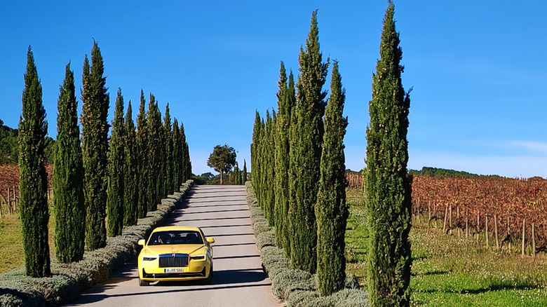 Yellow black badge Ghost Series II driving down a road