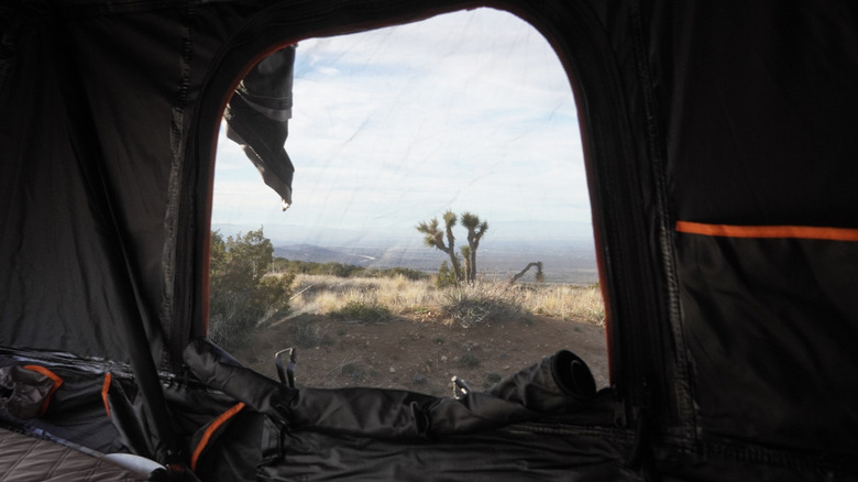 Roofnest Condor Overland 2 view from inside