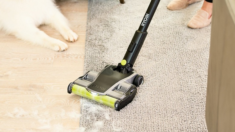 Person vacuuming dog fur