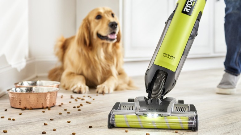 Ryobi vacuum picking up dog food