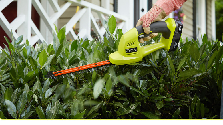 ryobi trimmer being used on a shrub