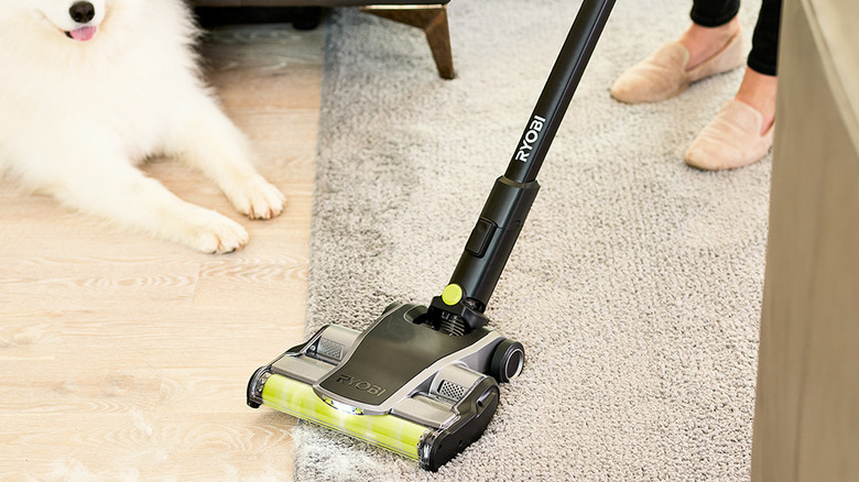 vacuum pet fur on carpet