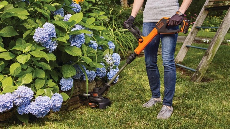 Person using Black+Decker string trrimmer