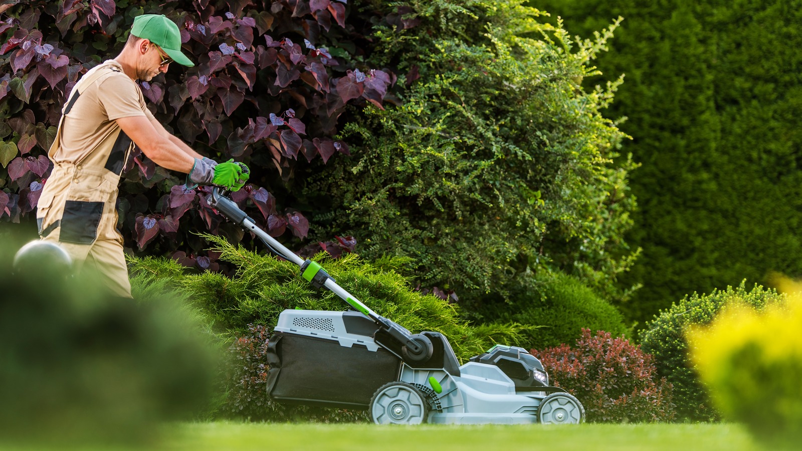 Ryobi Vs. Ego: Which Brand Makes The Better Push Lawn Mower (According ...