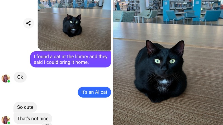 AI Cat and a chat about an AI cat