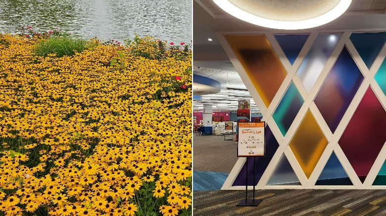 a field of flowers and indoor windows