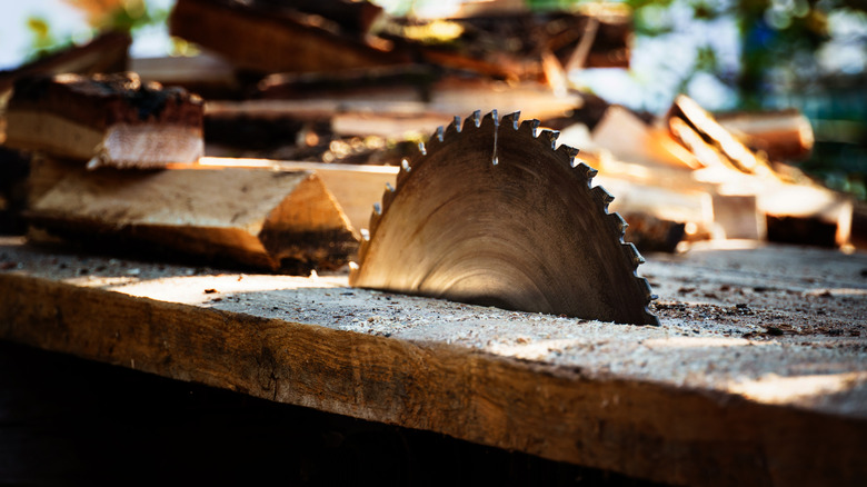 Old saw blade in wood