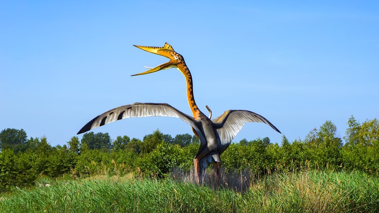 Pterosaur rendering