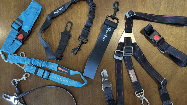 multiple dog seat belts models