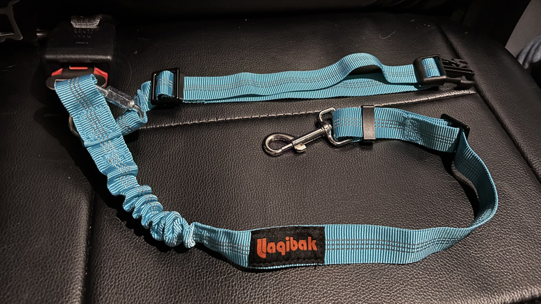 Laqibak seat belt in blue