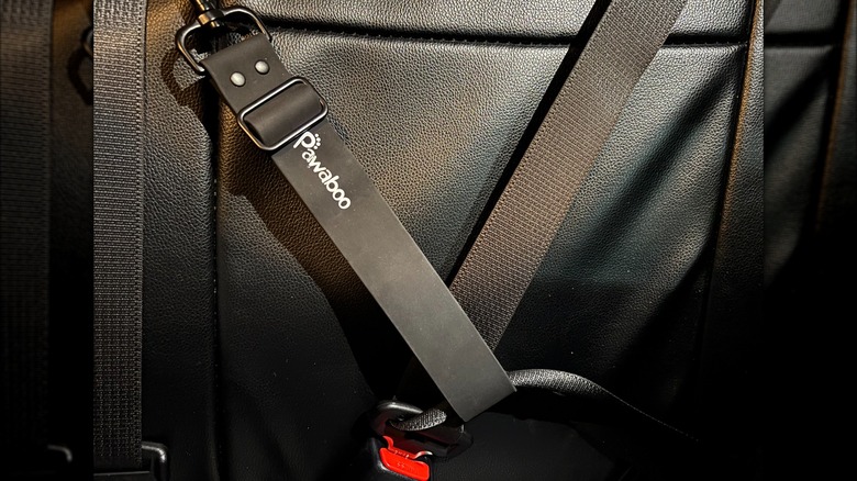 Close-up of Pawaboo seat belt