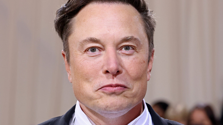 Elon Musk quasi smiling