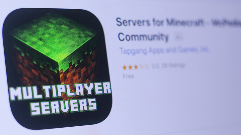Minecraft servers in store