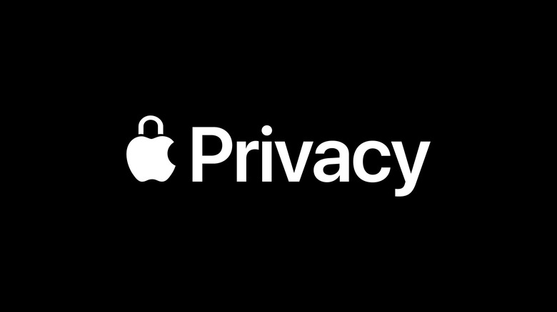 Apple privacy logo