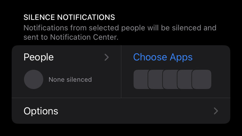 iphone screenshot silence notifications settings