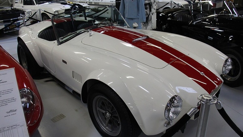 Red and White Shelby Slalom Snake Cobra