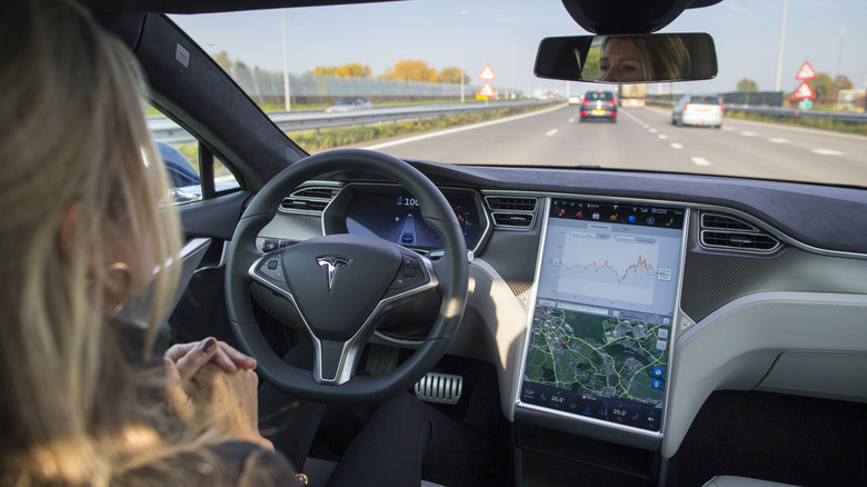 Person driving Tesla autopilot