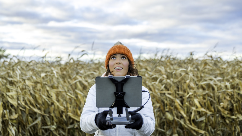 woman operating drone in cornfield