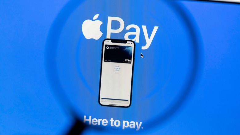 apple pay website logo magnifying glass
