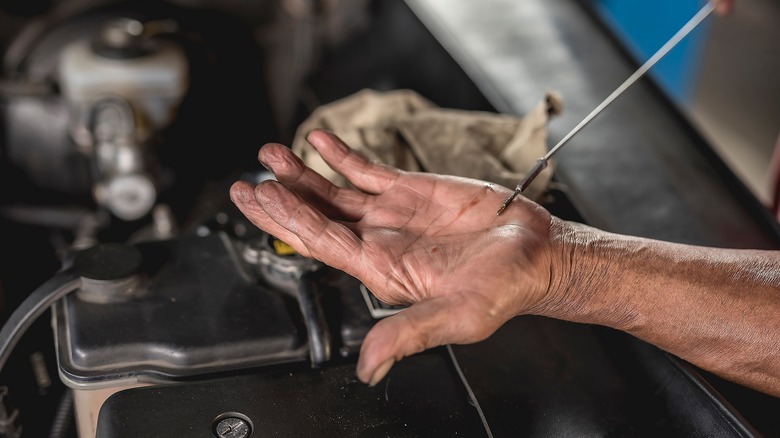 Person checking transmission fluid 