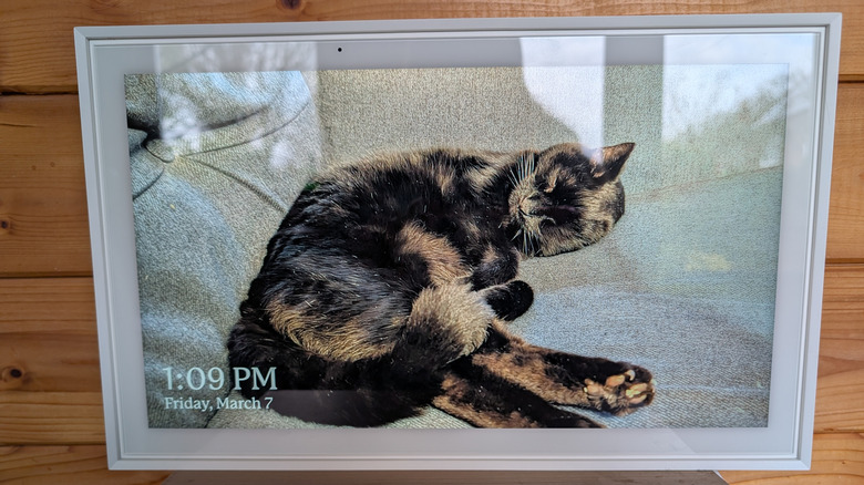 Skylight Calendar displaying a picture of the author's sleeping black cat as a screensaver