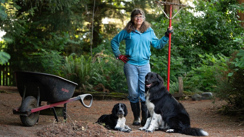 Woman with dogs a rake and a wheelbarrow