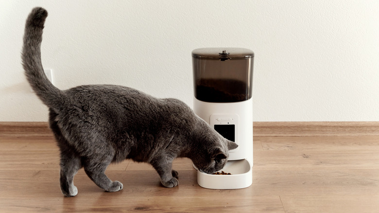 A cat eating from an automatic dispenser.