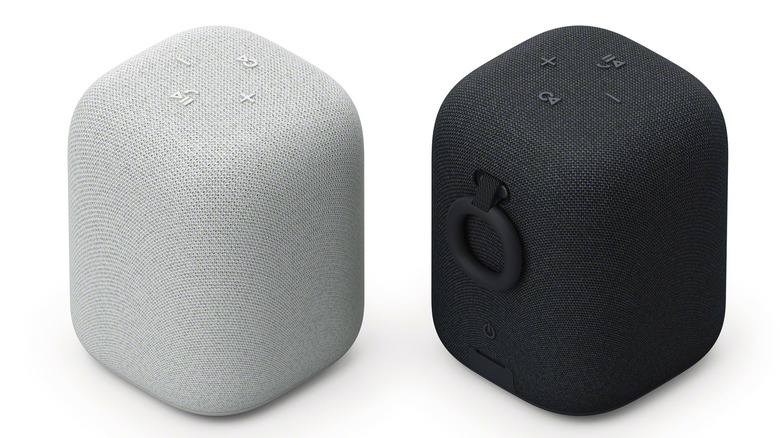 Two Sony LinkBuds Speakers side by side