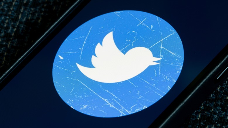 Twitter logo splash screen on a phone