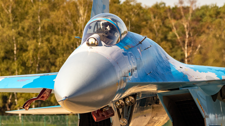 Sukhoi Su-27 taxied on runway