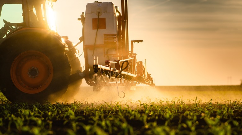 pesticides on farmland