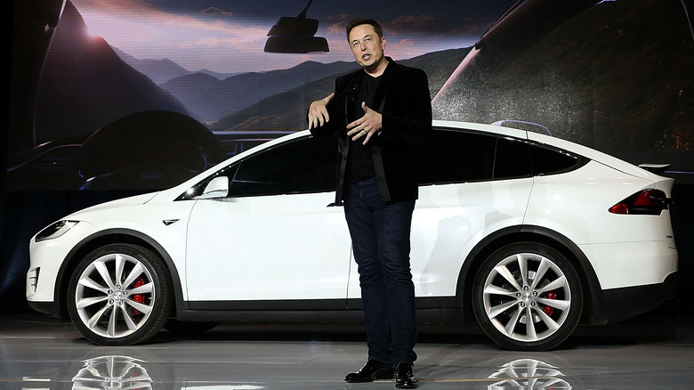 Elon Musk with Tesla car