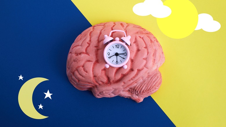 Brain with alarm clock